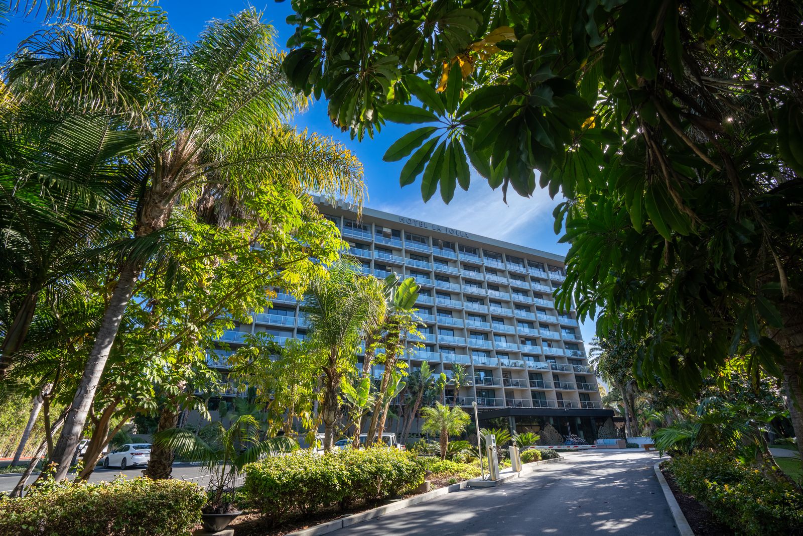 Hotel La Jolla framed by palms